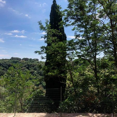 La Casa All'Oliveto Πιτιλιάνο Εξωτερικό φωτογραφία