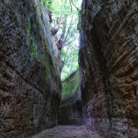 La Casa All'Oliveto Πιτιλιάνο Εξωτερικό φωτογραφία