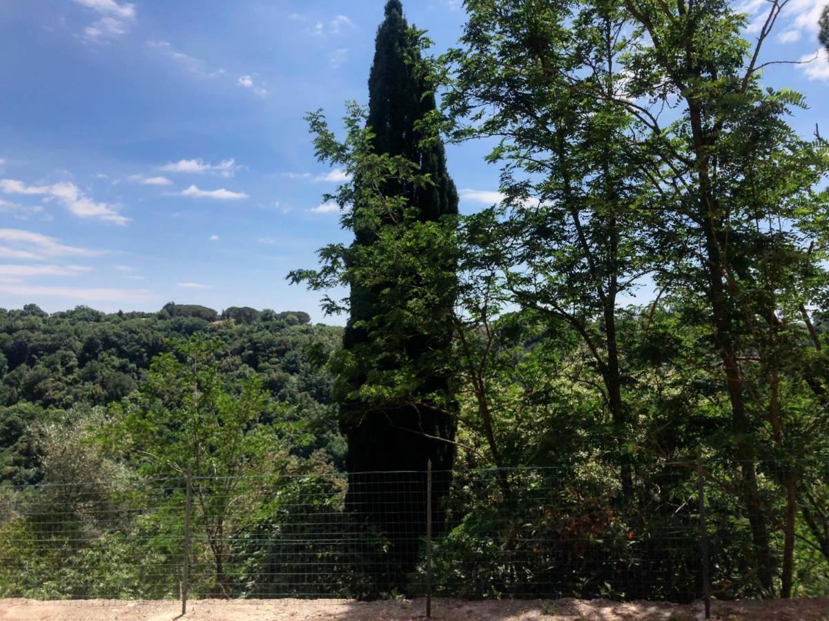 La Casa All'Oliveto Πιτιλιάνο Εξωτερικό φωτογραφία