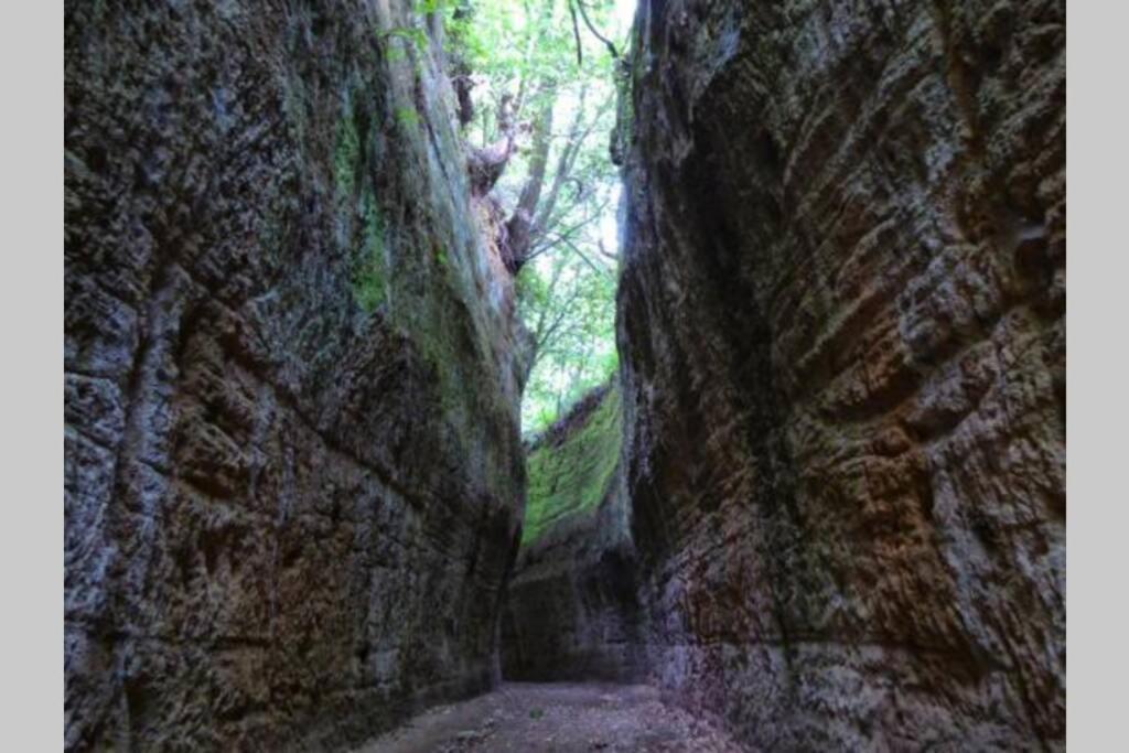 La Casa All'Oliveto Πιτιλιάνο Εξωτερικό φωτογραφία